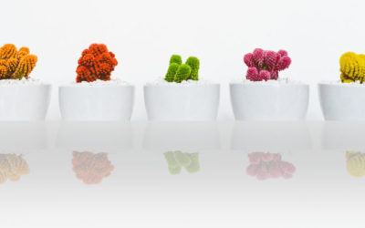 Why You Must Differentiate Your Business To Attract More Clients…