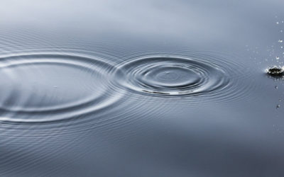 Relevancy, Frequency and Recency