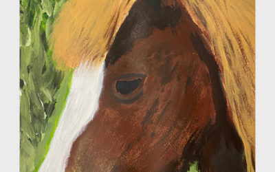 Inquisitive Horse
