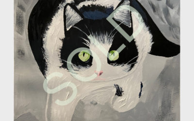 Snow Cat