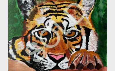 Tiger, Tiger