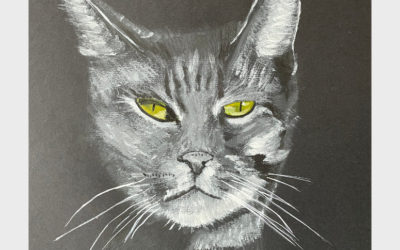 Cattitude