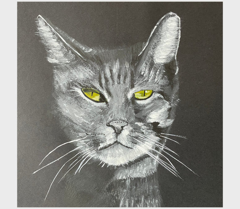 Cattitude