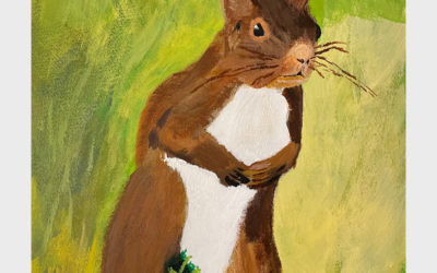 Red Squirrel