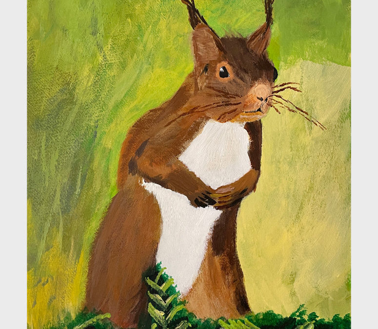 Red Squirrel