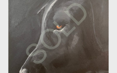Black Dog