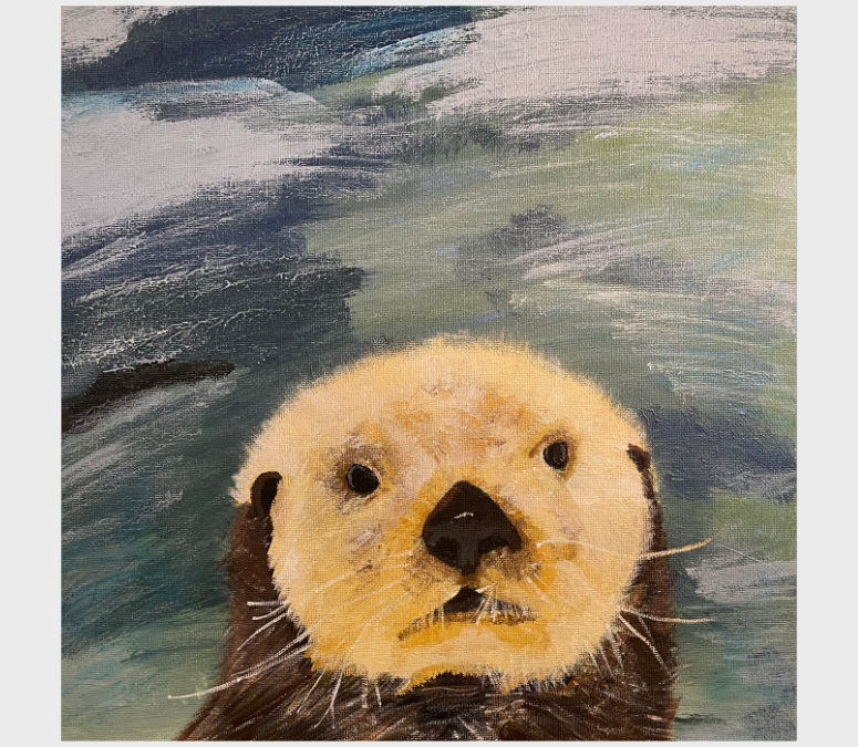 Quizzical Otter