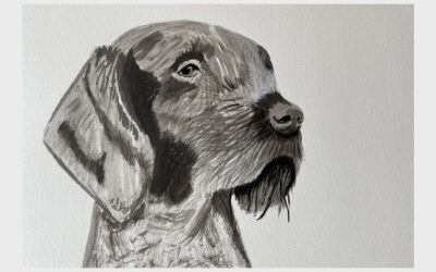 Inky Dog