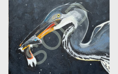 Fishing Grey Heron