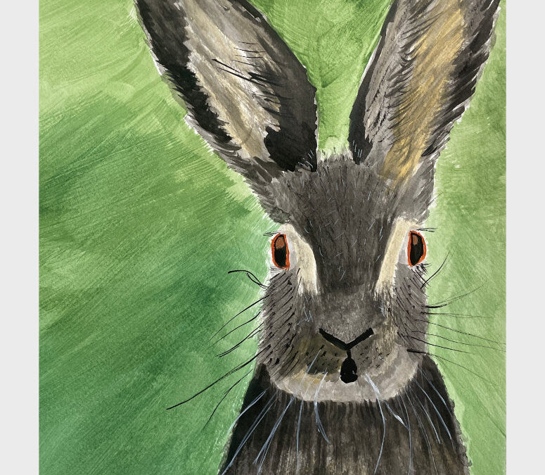 Hare Today