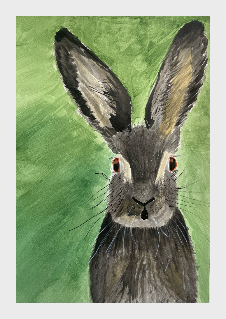 Hare Today