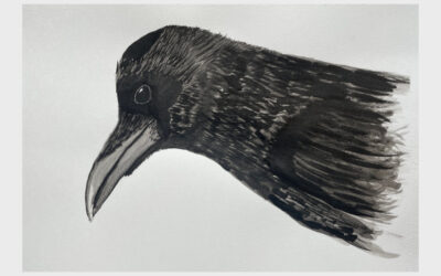 Ink & Pen Crow