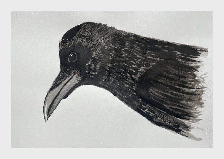 Ink & Pen Crow