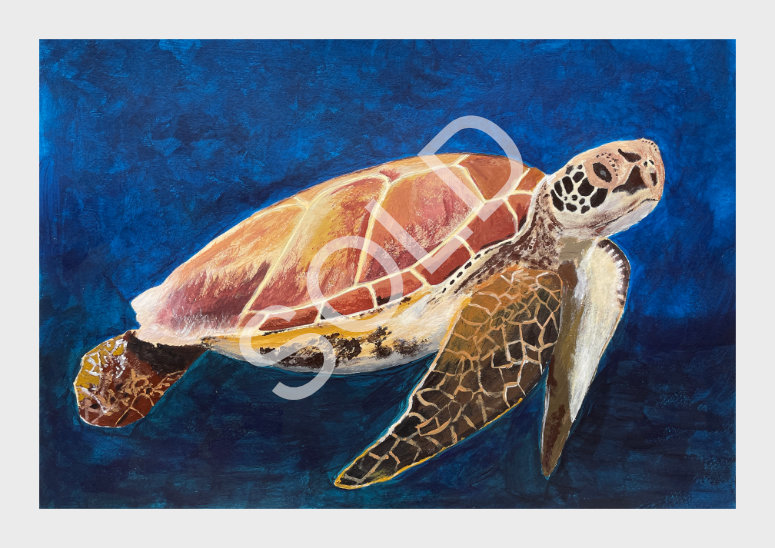 Sea Turtle
