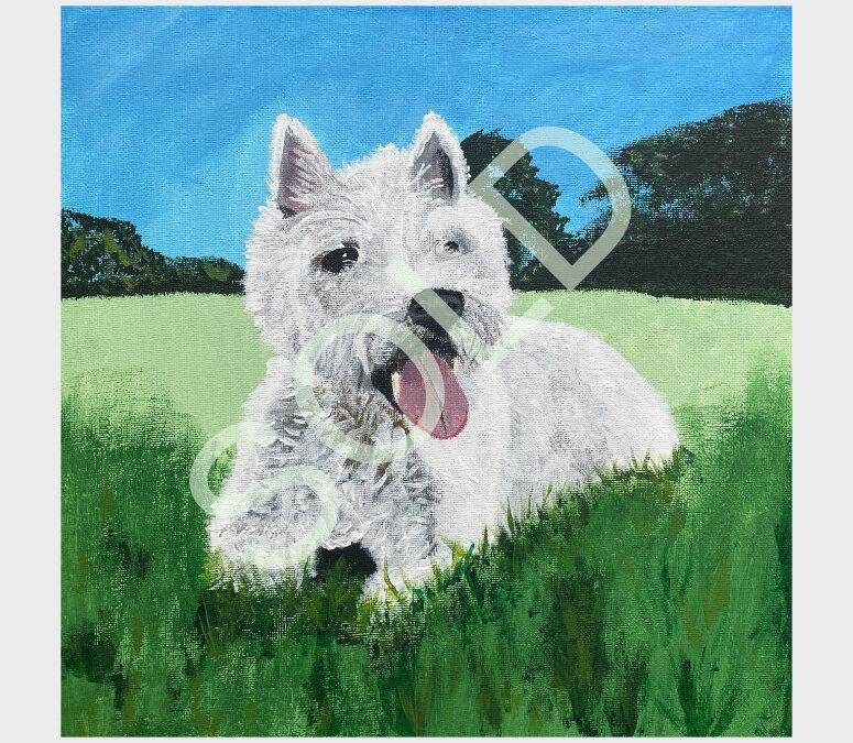 Jester The Westie