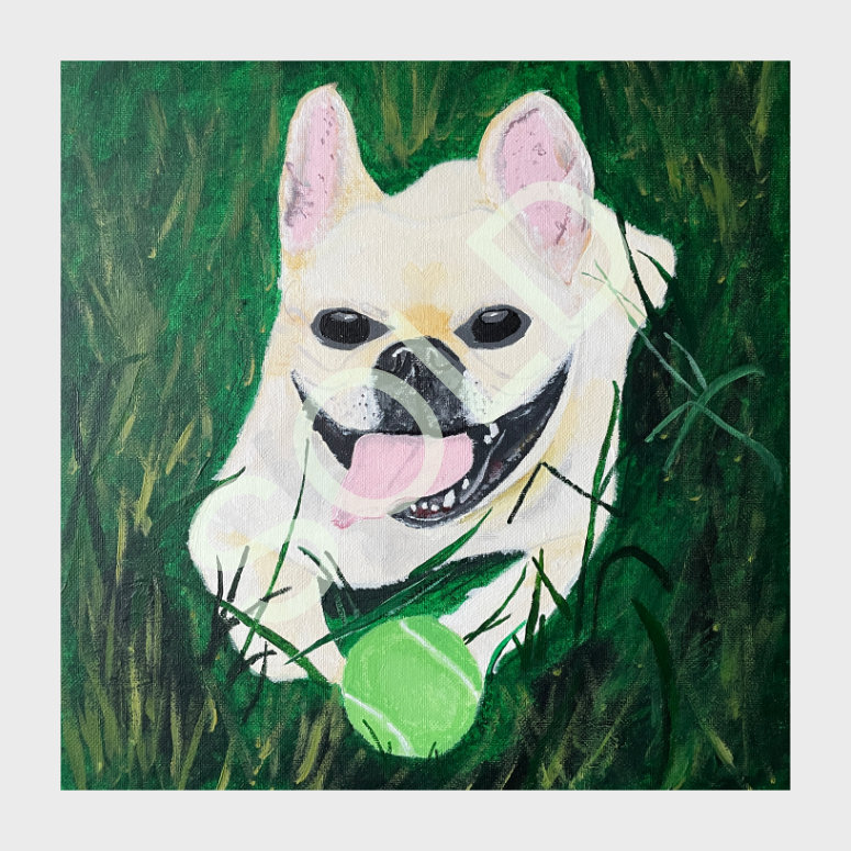 Eric The Frenchie Eric The Frenchie